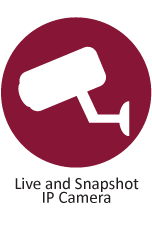 Live and snapshot IP cameras